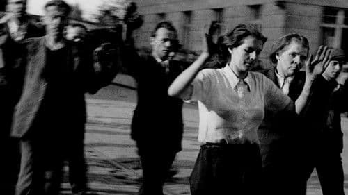 The Savage Peace Bild 3