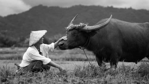 Animal Lovers Bild 1