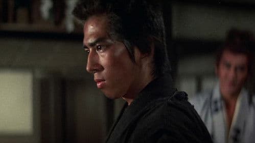 Der Shogun und sein Samurai Bild 8