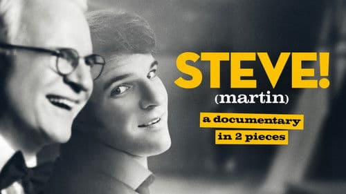 STEVE! (martin): Ein Porträt in zwei Teilen Bild 5