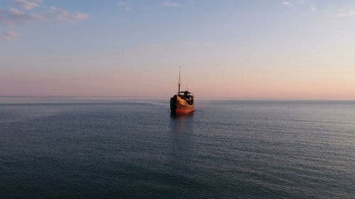 Семь пар нечистых Bild 1