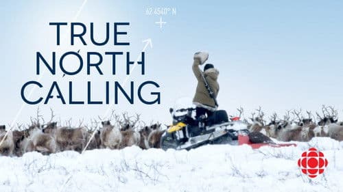True North Calling Bild 4