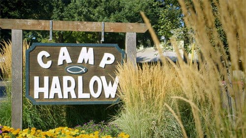 Camp Harlow Bild 1