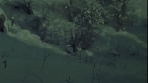 Dog Star Man: Part I Bild 2