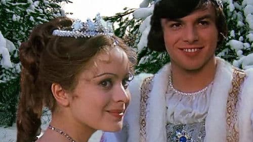 Drei Haselnüsse für Aschenbrödel Bild 7