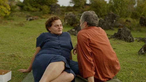 Amsel im Brombeerstrauch Bild 6