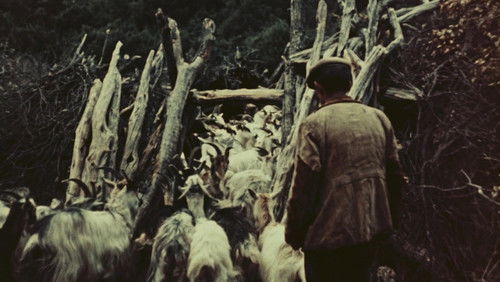 Pastori di Orgosolo Bild 1