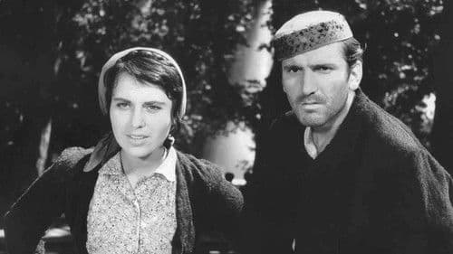 Vlak bez voznog reda Bild 1