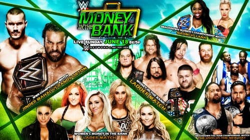 WWE Money in the Bank 2017 Bild 4