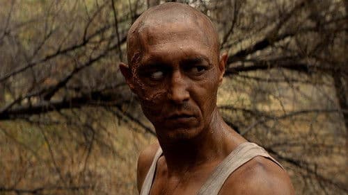 Sweetie, You Won't Believe It Bild 4