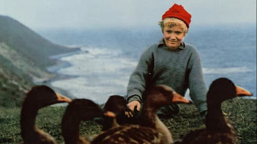 Nils Holgerssons wunderbare Reise Bild 1