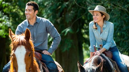 A Country Wedding Bild 8