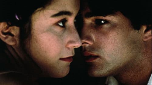 Bittersüße Schokolade Bild 5