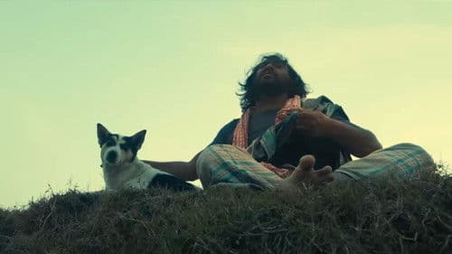 রাত জাগা ফুল Bild 3