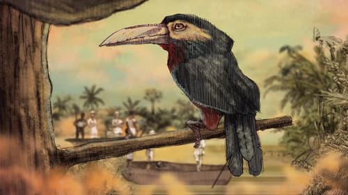 Un día vi 10 000 elefantes Bild 1