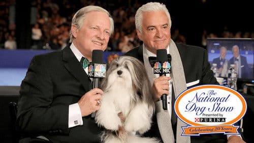 The National Dog Show Bild 1