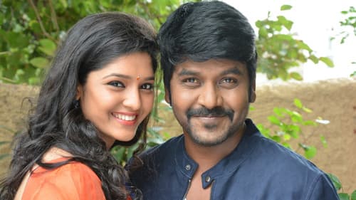 சிவலிங்கா Bild 7