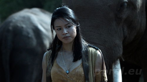 Hard Target 2 Bild 5