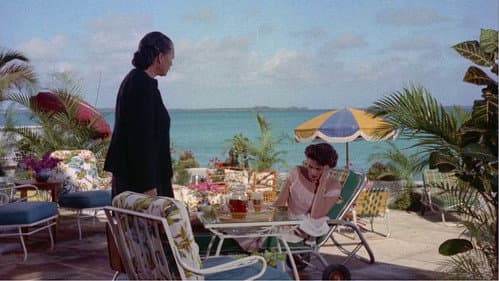 Insel der Leidenschaft Bild 4