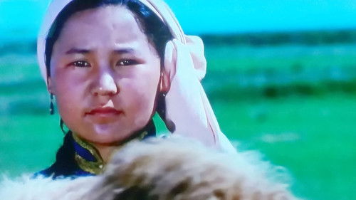 Нар хиртсэн жил Bild 2