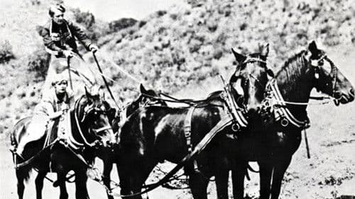 The Arizona Whirlwind Bild 1