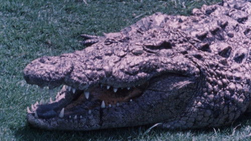 Hideout in the Sun Bild 3