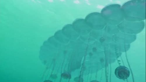 The Future Is Wild Bild 3