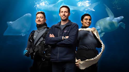 Secrets of the Aquarium Bild 1