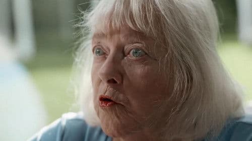 The Brazilian Investment Bild 2