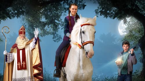 Sinterklaas & Het Gouden Hoefijzer Bild 4