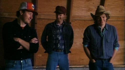 American Harvest Bild 1