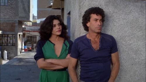 El día de los albañiles Bild 6