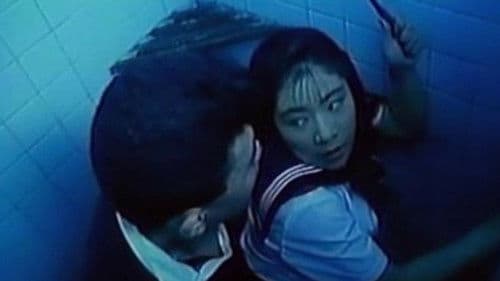 Turtle Vision Bild 2