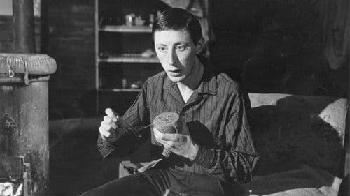 Bitterer Honig Bild 6