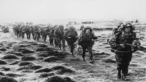 Falklands War: The Untold Story Bild 2