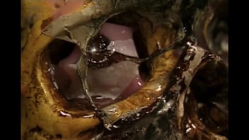 At Dawn They Sleep Bild 7