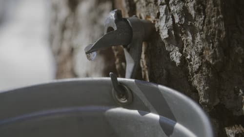 Le goût d'un pays Bild 5