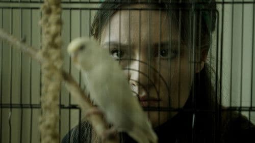 Winged and Imprint Dark Bild 1