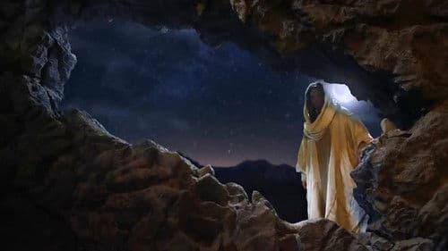 No Ordinary Shepherd Bild 7