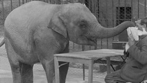 The Thirteenth Instant Bild 1