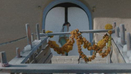 Radon’s Daughters Bild 1