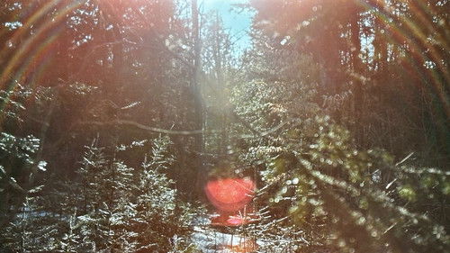 The Oxbow Cure Bild 4