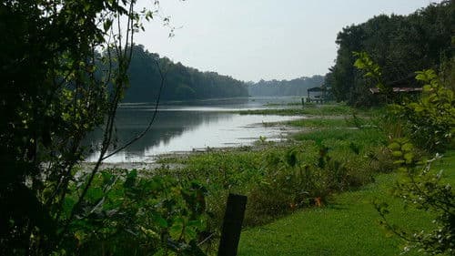 Rivers and Life Bild 1