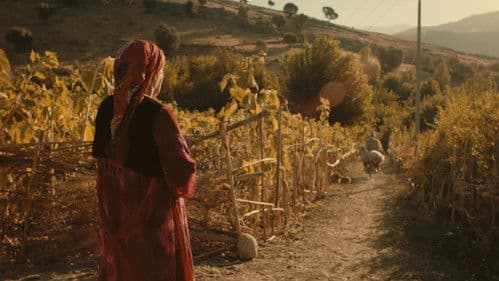 غەریبانە لەم خۆشبەختییە دەڕوانم Bild 1