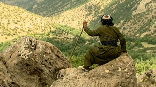 کوێستانی سپی Bild 3