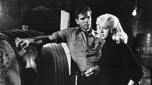 Weib ohne Gewissen Bild 4