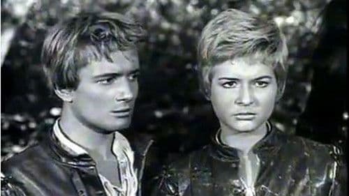 La freccia nera Bild 1