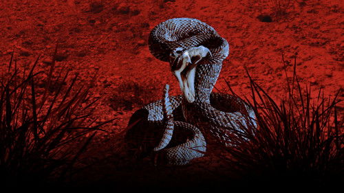 Hilfe, ich wurde gebissen! Bild 1