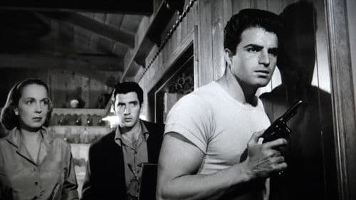 Die Nacht ist voller Schrecken Bild 3