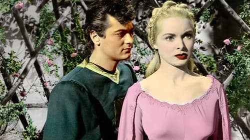 Der eiserne Ritter von Falworth Bild 1